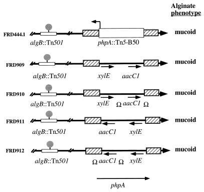 FIG. 5