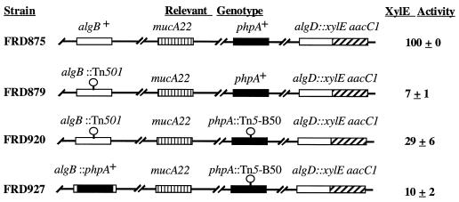 FIG. 6