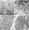 FIG. 6.