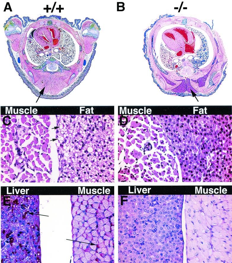 FIG. 7.