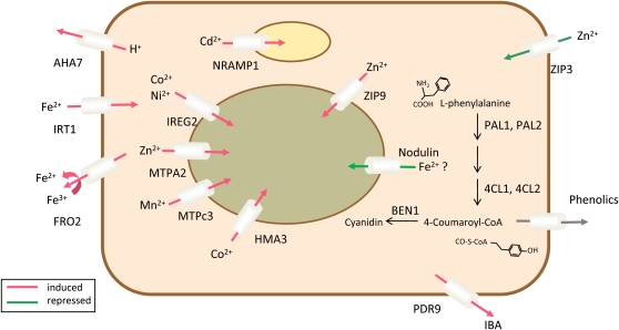 Figure 3.