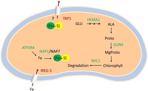 Figure 4.