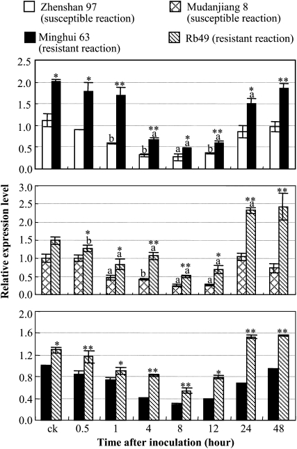 Figure 5.