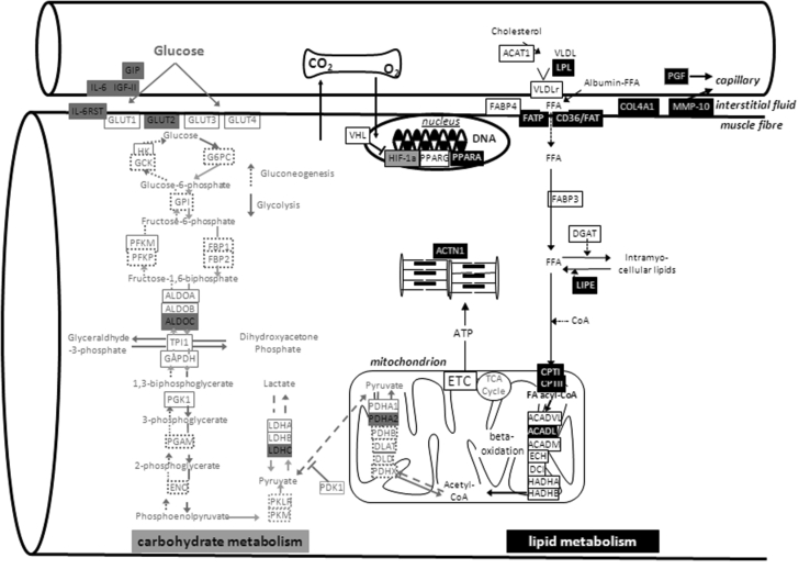 Fig. 4