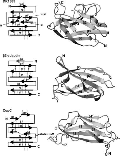 Fig. 5.