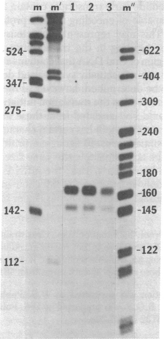 graphic file with name pnas00462-0071-a.jpg