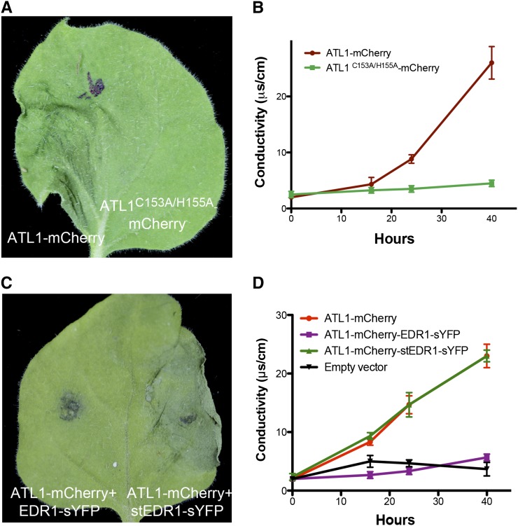 Figure 3.