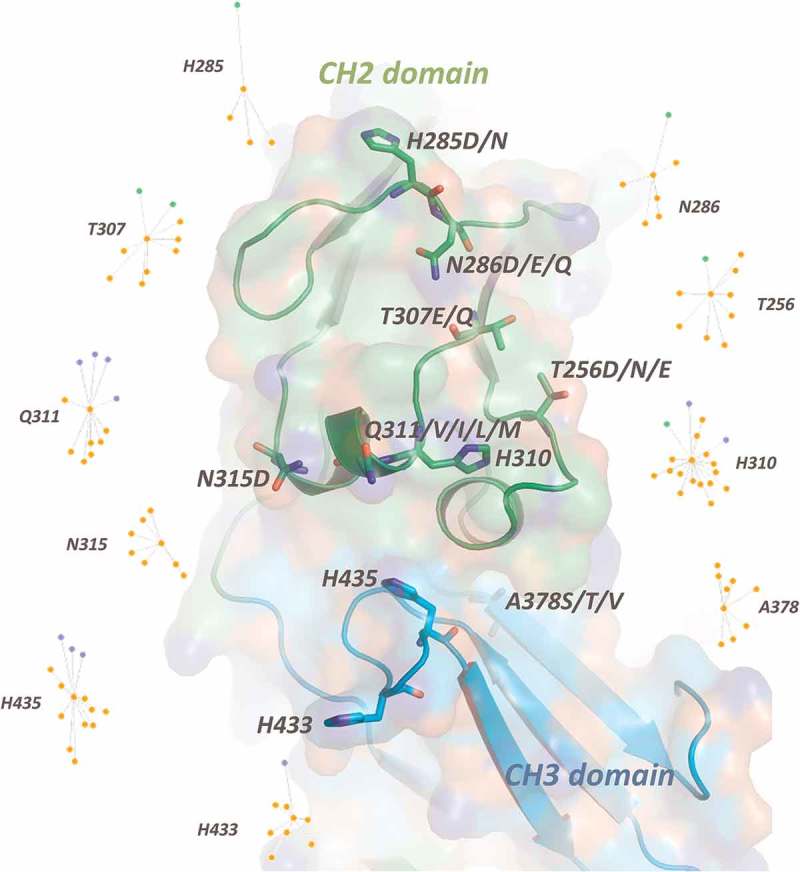 Figure 2.