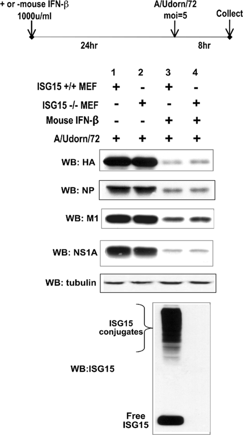 FIG. 4.