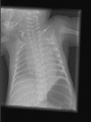 Fig 6.