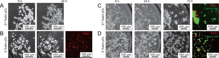 FIG. 3.