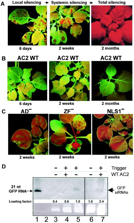 FIG. 3.