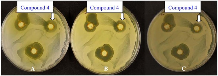 Figure 4