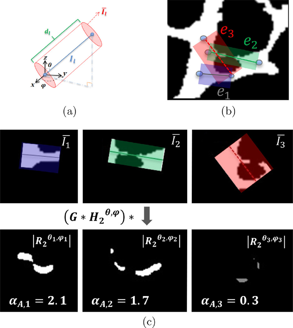 Fig. 10