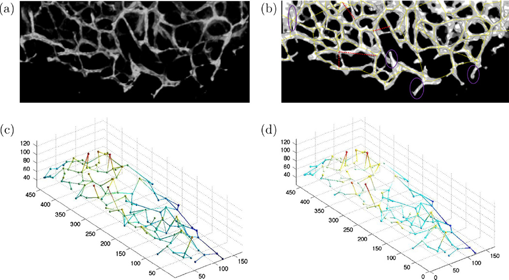 Fig. 14