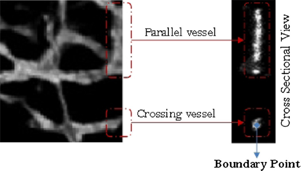 Fig. 8