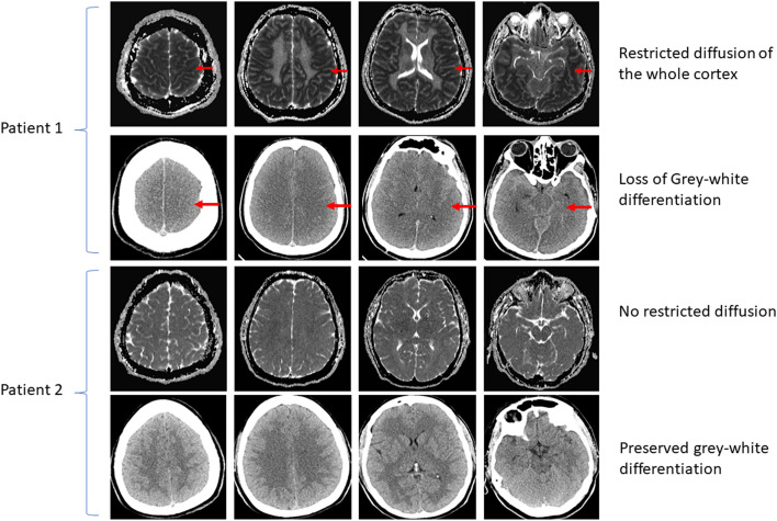 Fig. 8