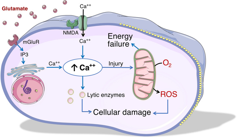 Fig. 1