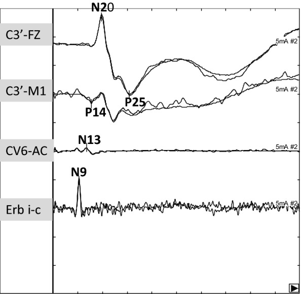 Fig. 5