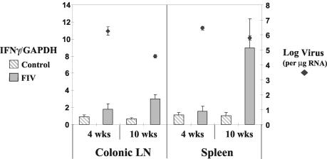 FIG. 3.