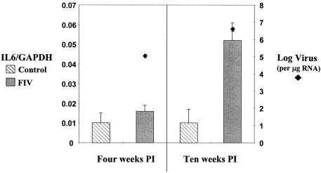 FIG. 6.