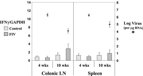 FIG. 4.