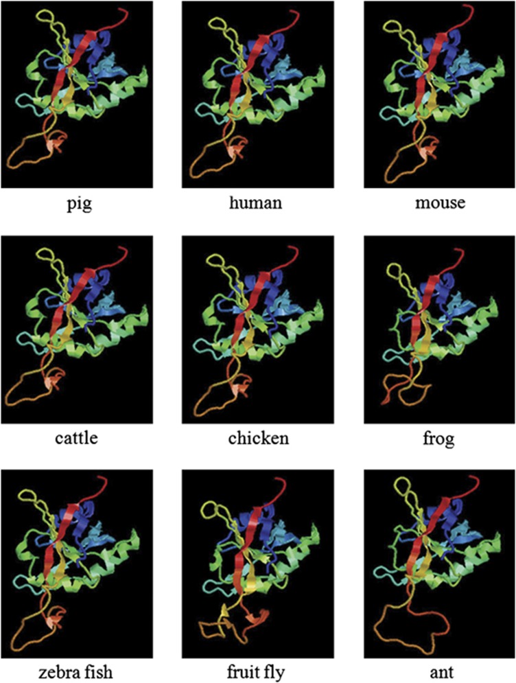 Figure 2