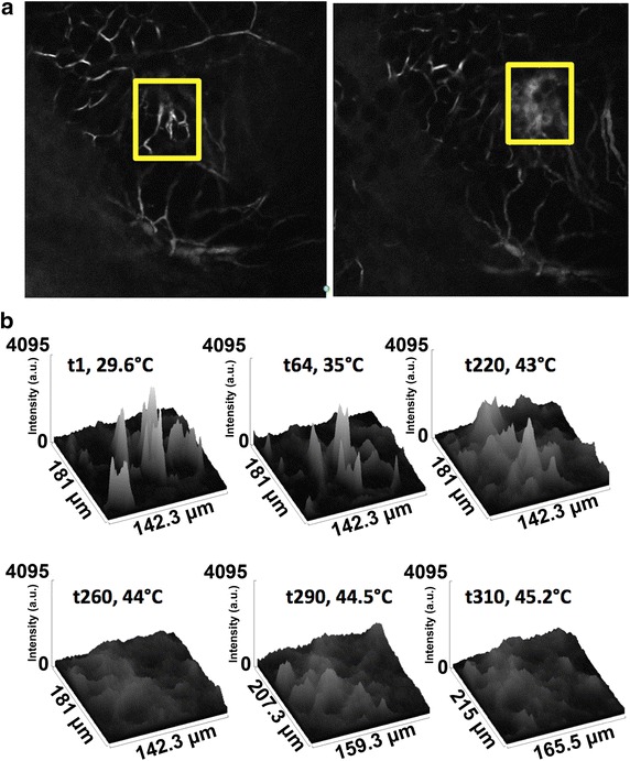 Fig. 7