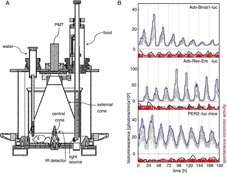 Figure 3.