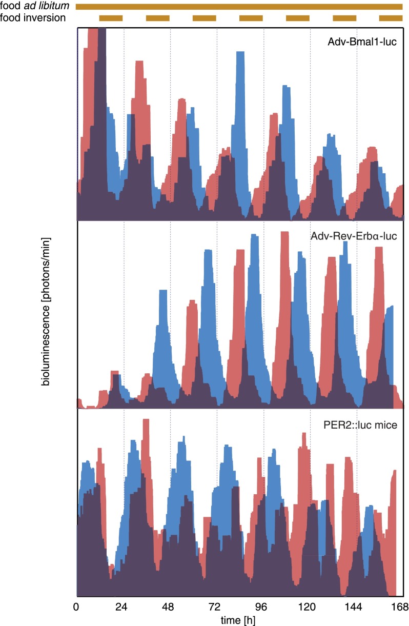 Figure 4.