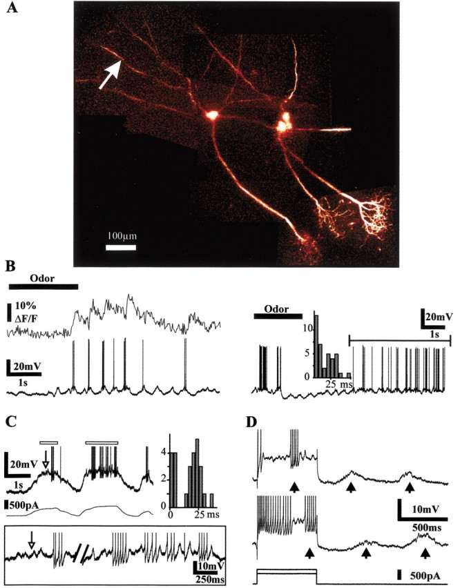 Figure 4.