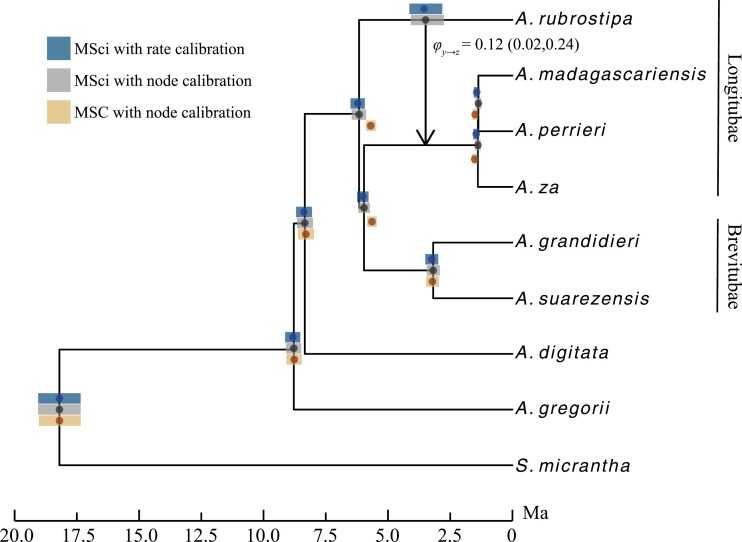 Figure 6.