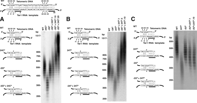 FIG. 4.