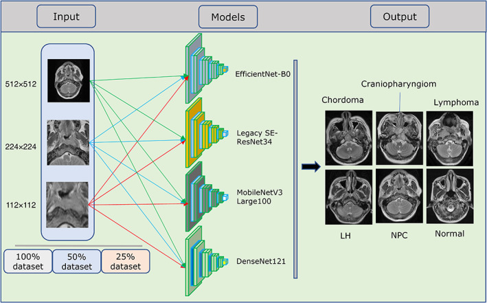 FIGURE 2