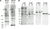 Figure 3.