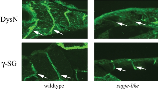 Figure 2.