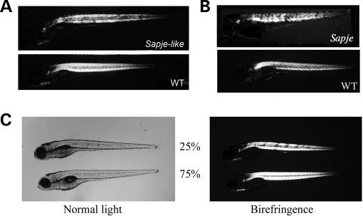 Figure 1.