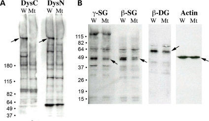 Figure 3.