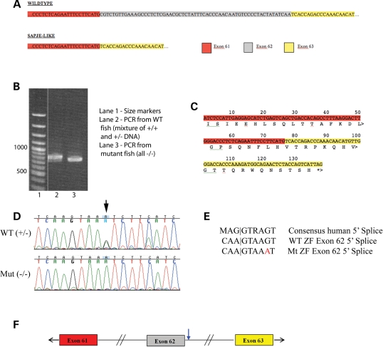 Figure 4.