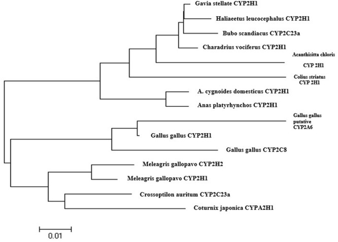 FIGURE 3