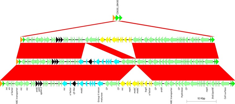 FIG 5