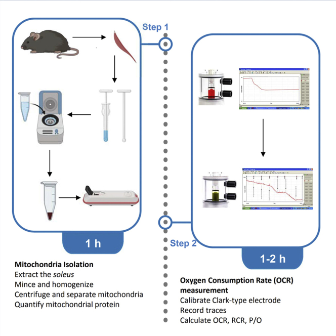 graphic file with name fx1.jpg