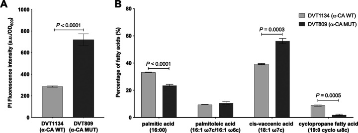 FIG 3