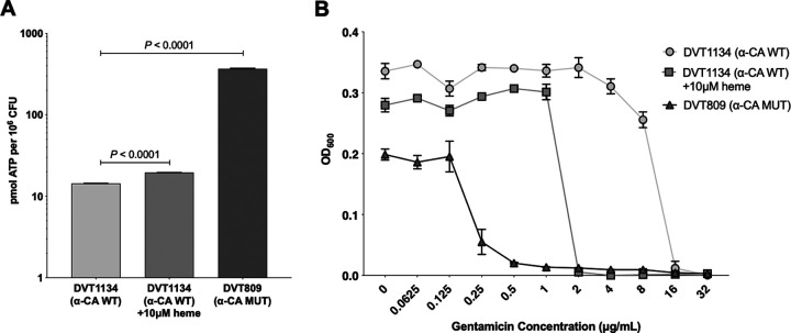 FIG 2