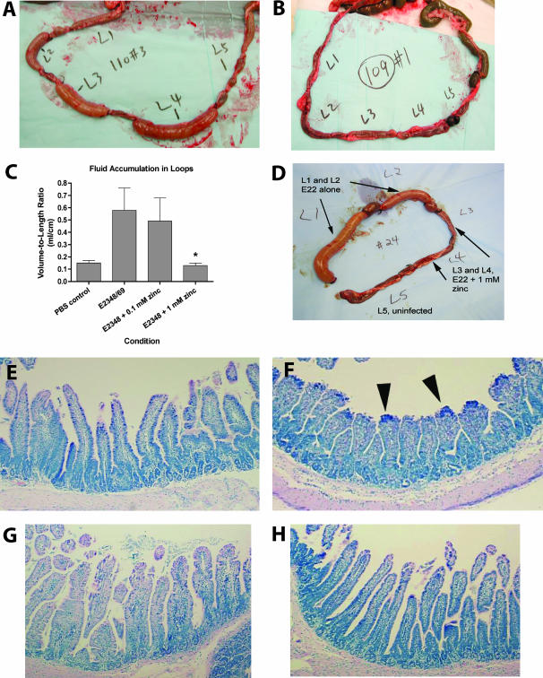 FIG. 6.