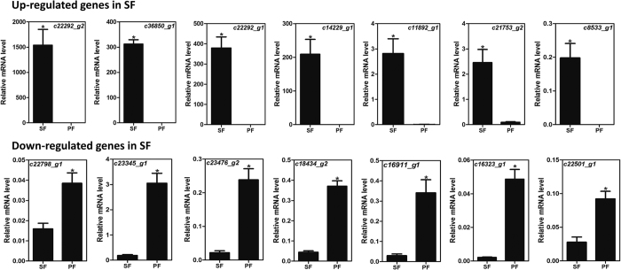 Figure 7