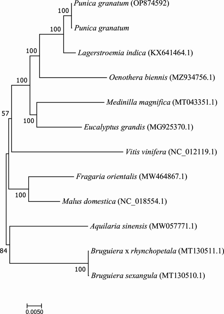 Fig. 5