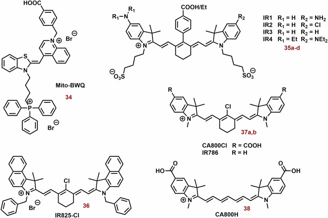 Fig. 13