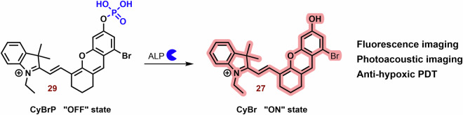 Fig. 12