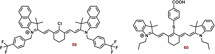 Fig. 22